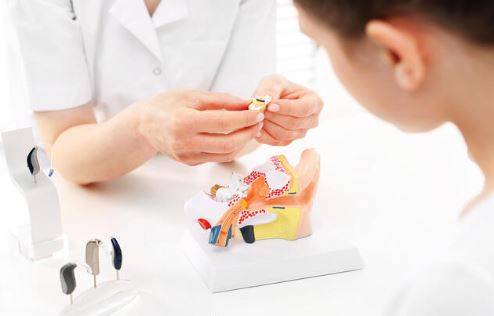 L'oreille interne : siège de nombreux troubles auditifs, dont les acouphènes.